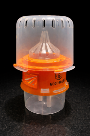 Aziatische hoornaar bestrijding